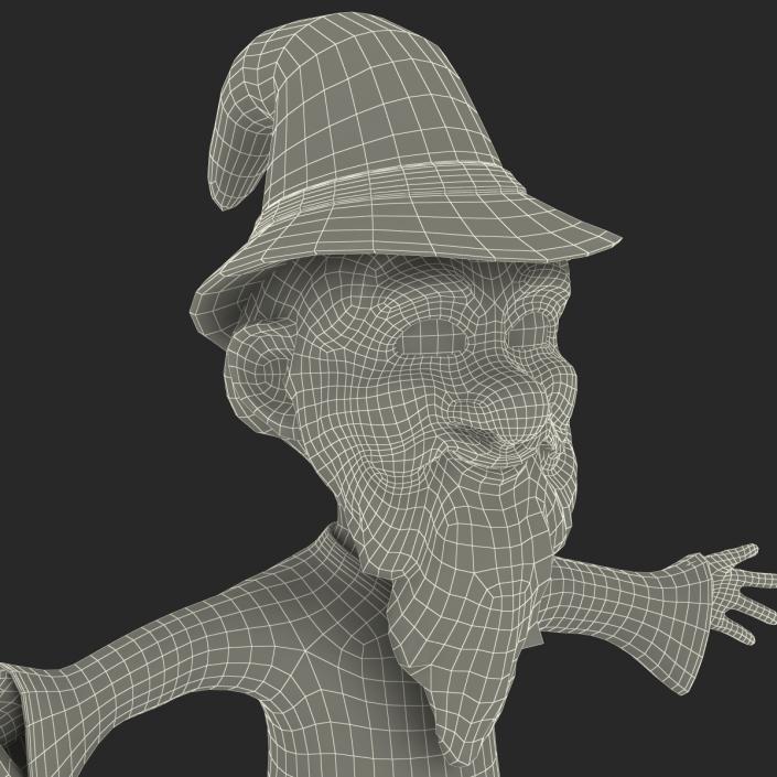 3D Cartoon Wizard Rigged