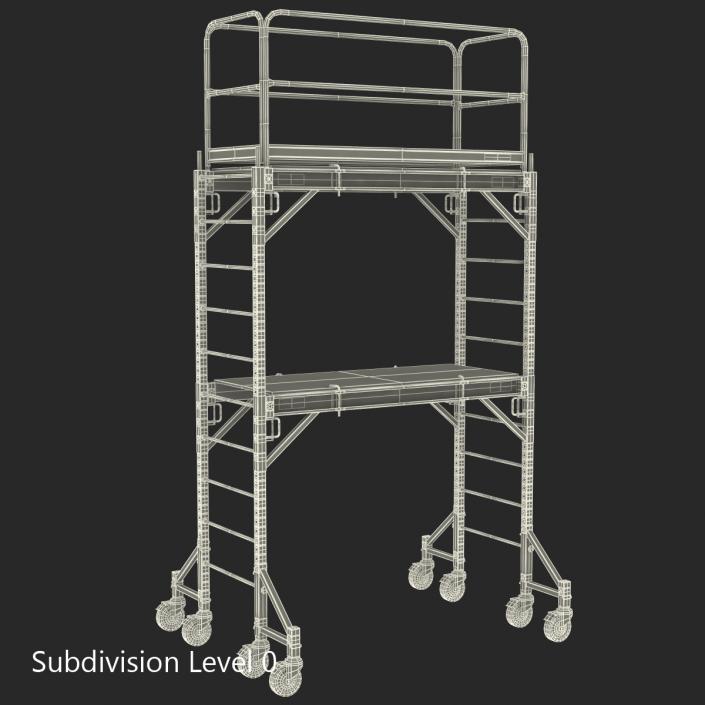 3D model Scaffold