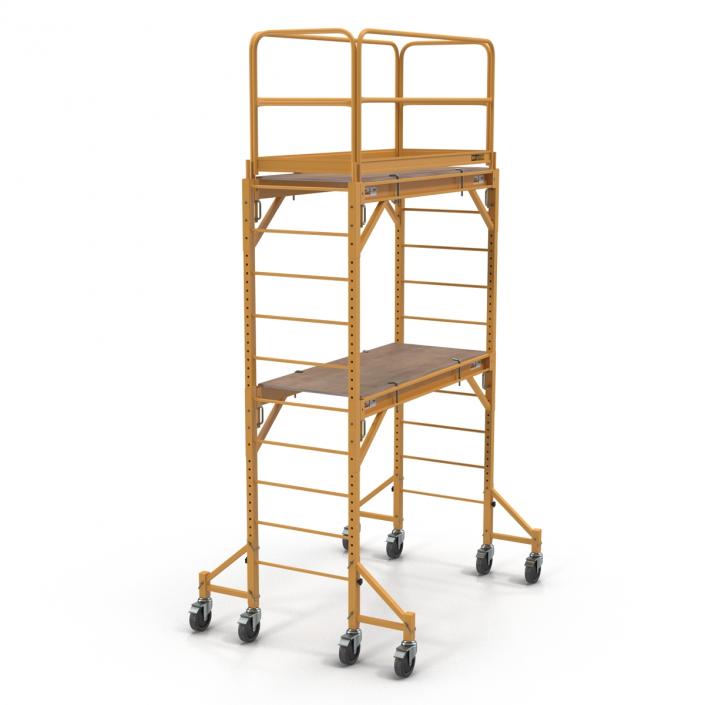 3D model Scaffold