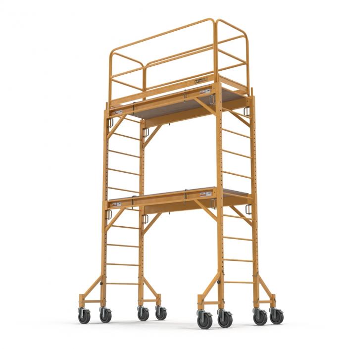 3D model Scaffold