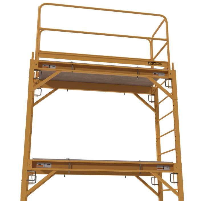 3D model Scaffold