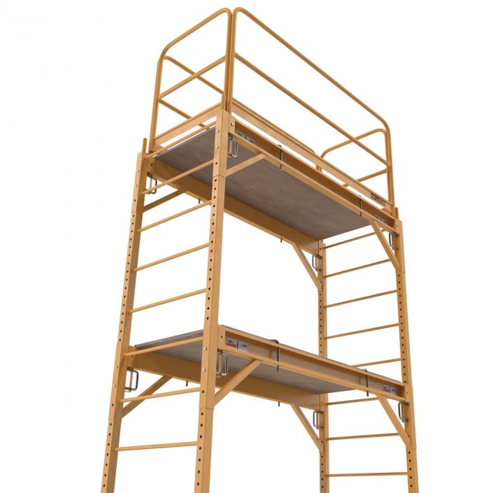 3D model Scaffold