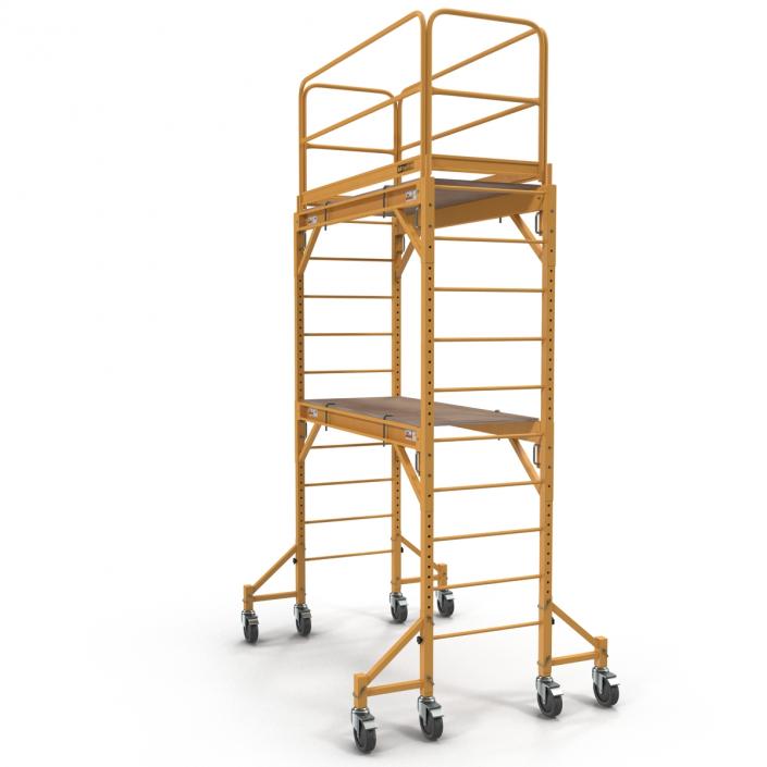 3D model Scaffold