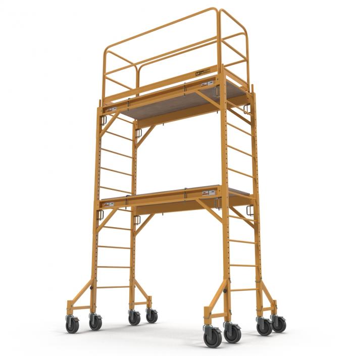 3D model Scaffold