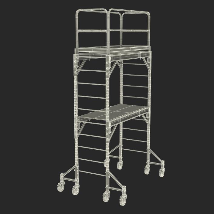 3D model Scaffold