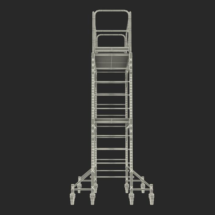 3D model Scaffold