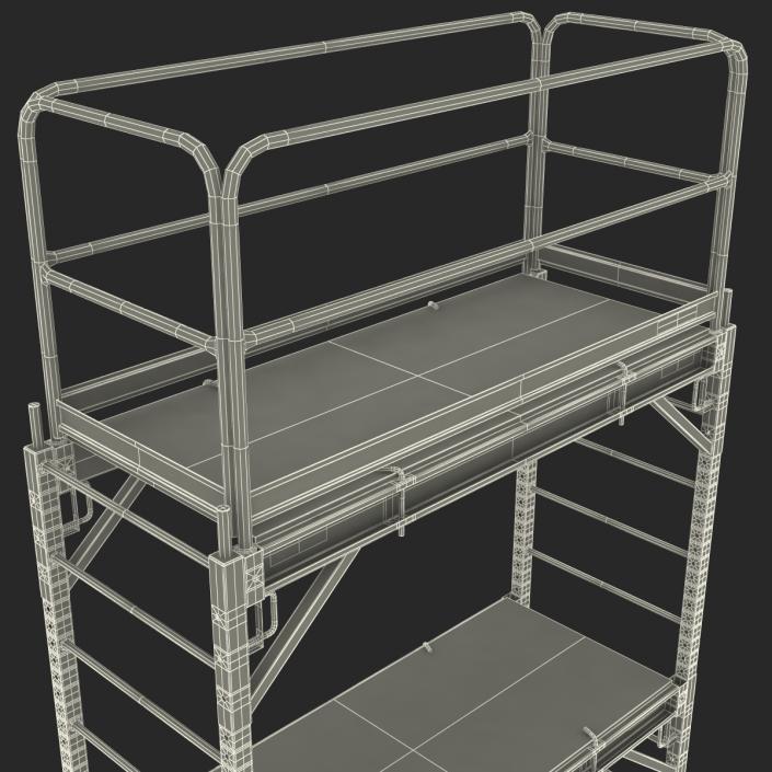 3D model Scaffold