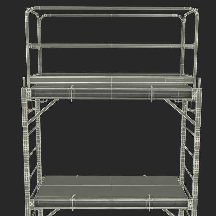 3D model Scaffold