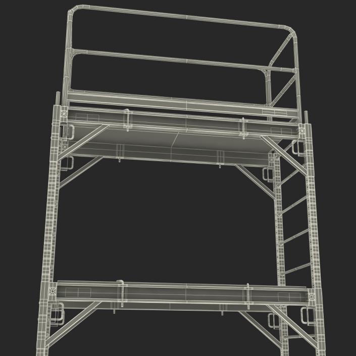 3D model Scaffold