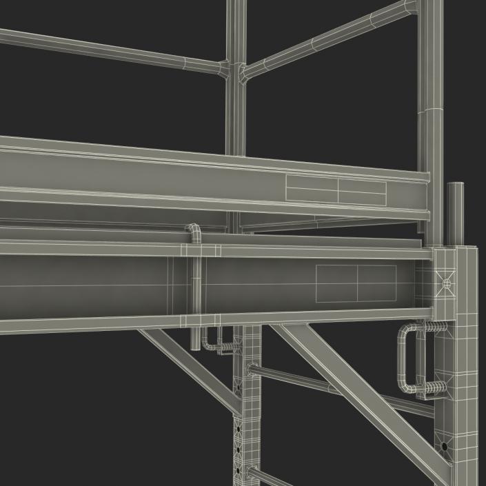 3D model Scaffold