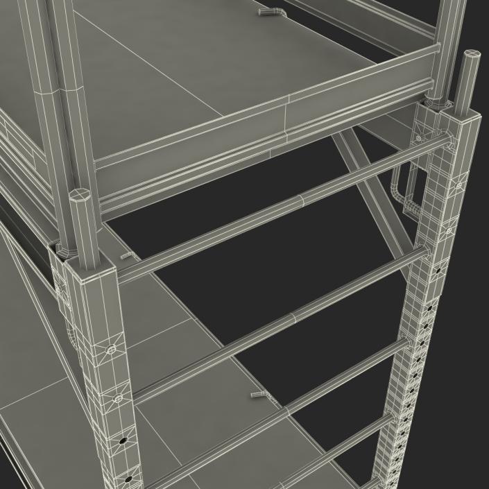 3D model Scaffold