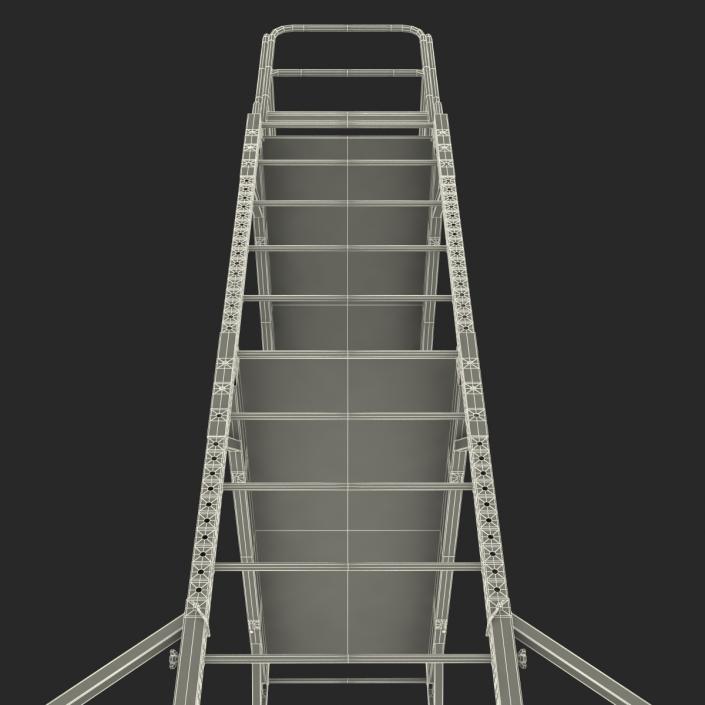 3D model Scaffold