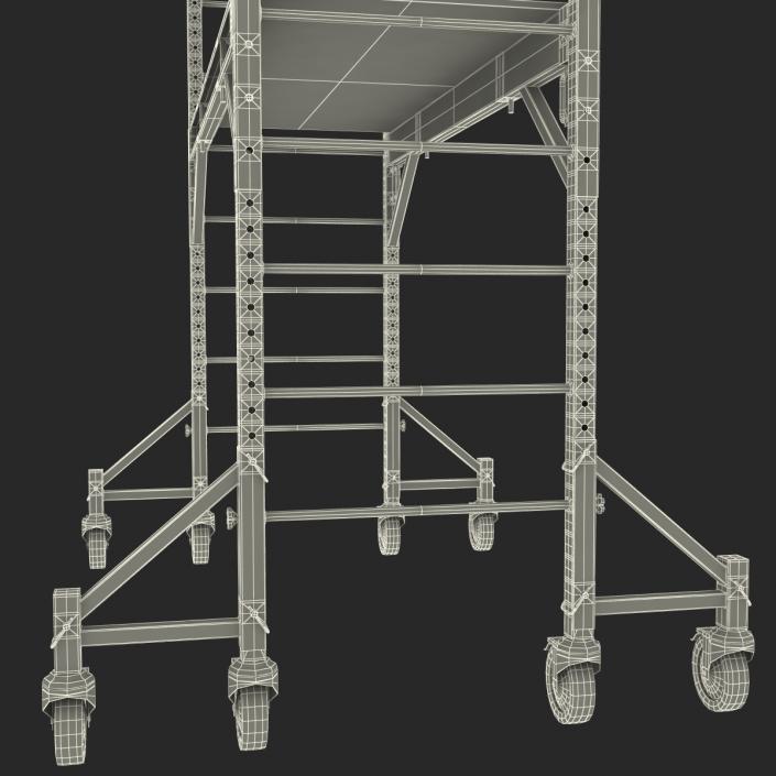 3D model Scaffold