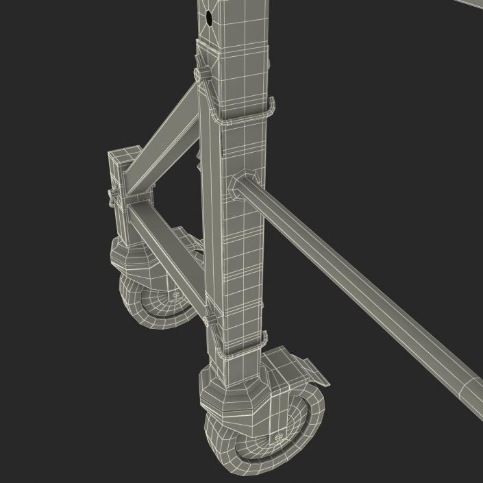 3D model Scaffold