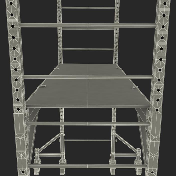 3D model Scaffold