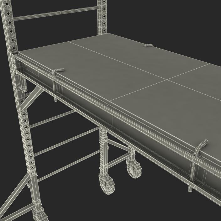 3D model Scaffold