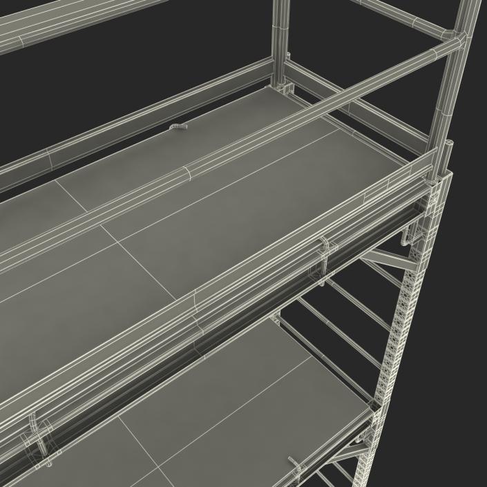 3D model Scaffold