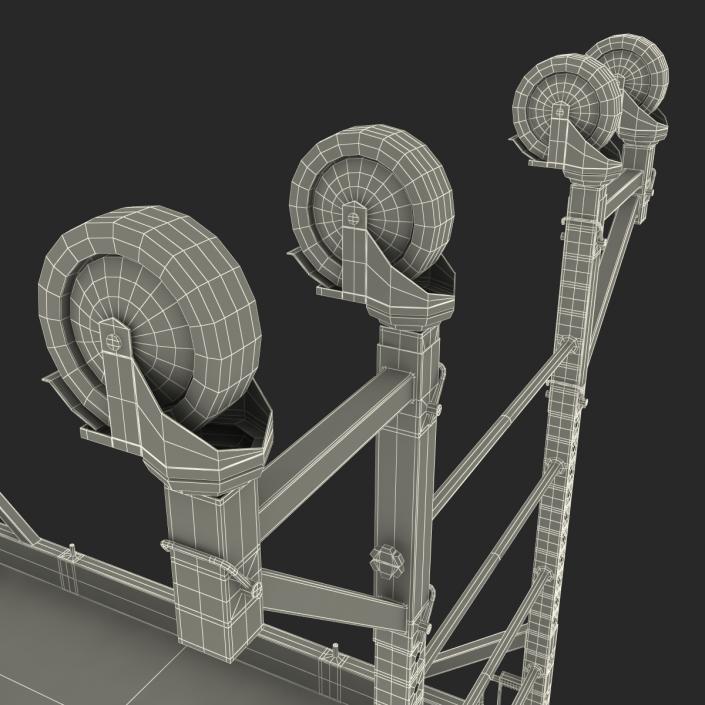 3D model Scaffold