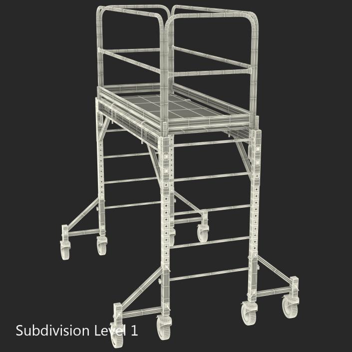 3D model Scaffold 2