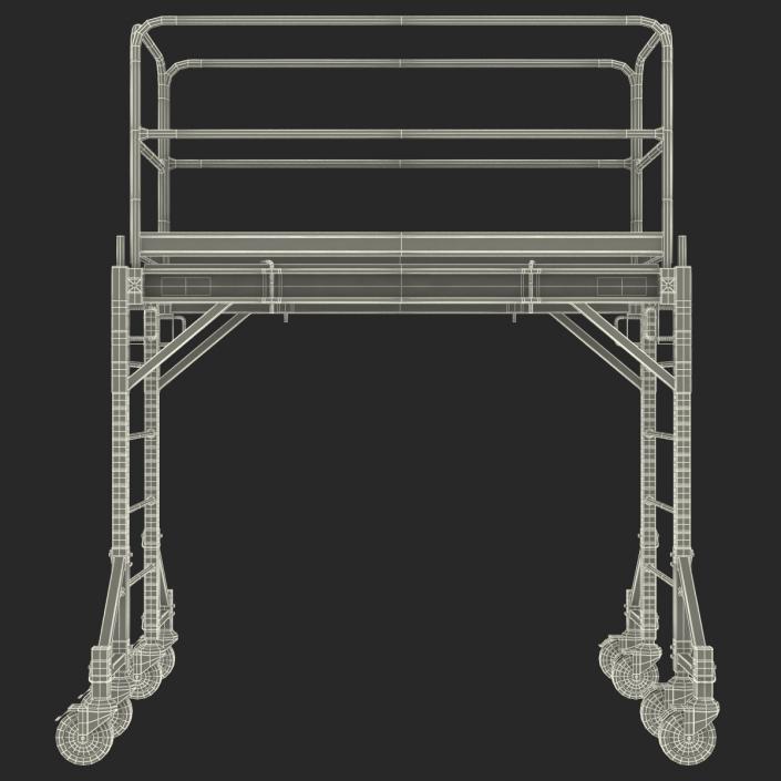 3D model Scaffold 2