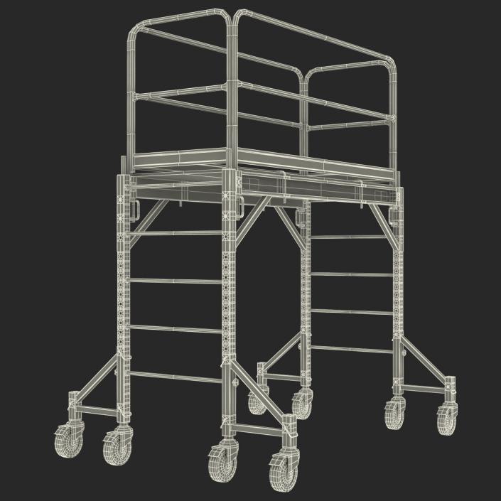 3D model Scaffold 2