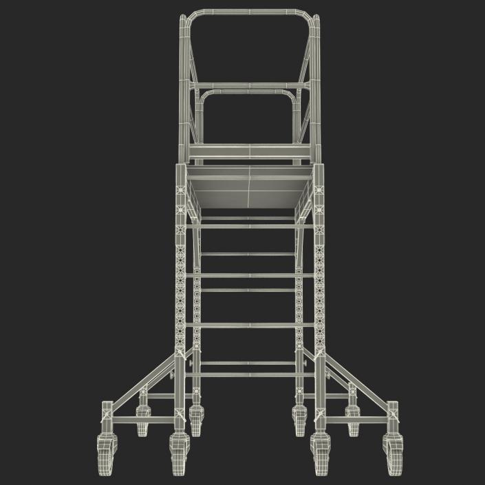 3D model Scaffold 2