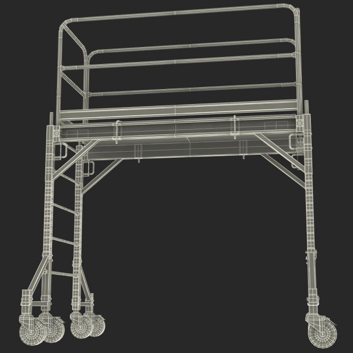 3D model Scaffold 2