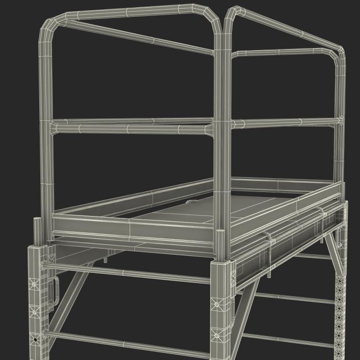 3D model Scaffold 2