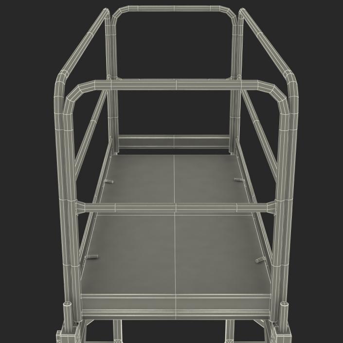 3D model Scaffold 2