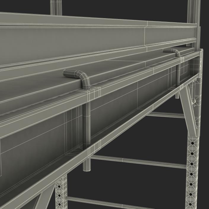 3D model Scaffold 2