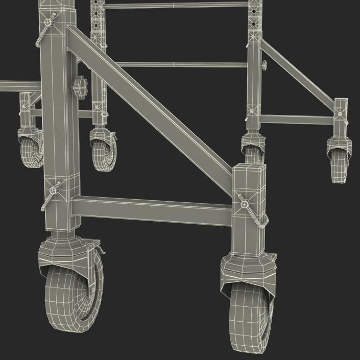 3D model Scaffold 2