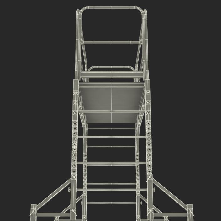 3D model Scaffold 2