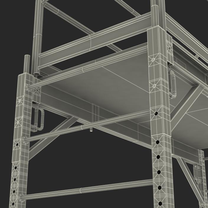 3D model Scaffold 2