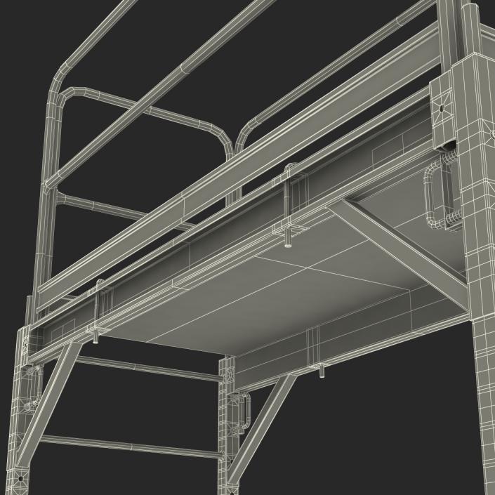 3D model Scaffold 2