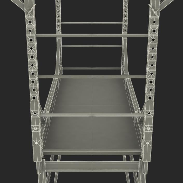 3D model Scaffold 2