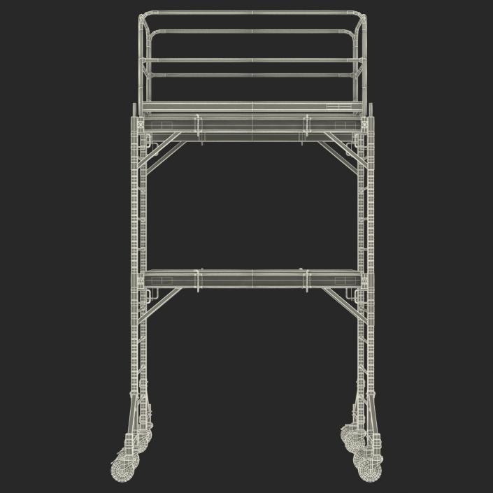 3D Scaffold Generic