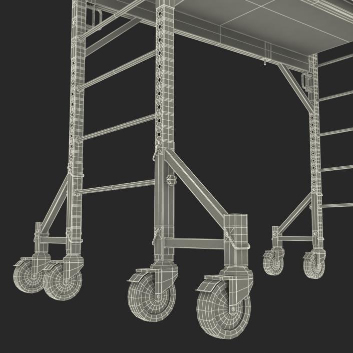 3D Scaffold Generic