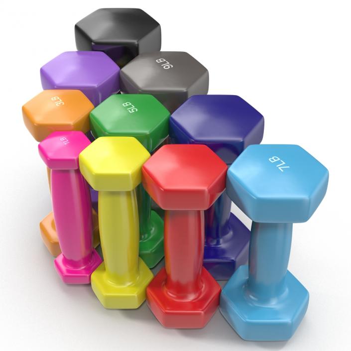 3D model Dumbbell Weights Set