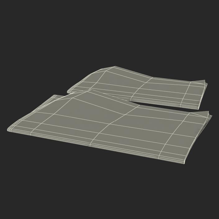 3D model Newspapers