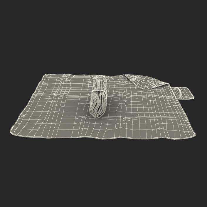 Picnic Blanket Red 3D Models Set 3D