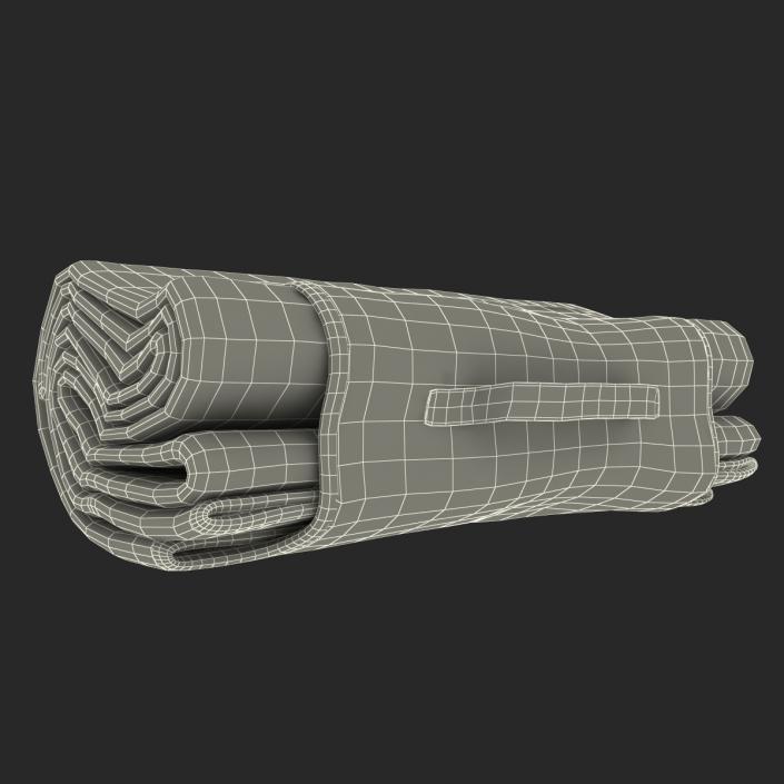 Picnic Blanket White 3D Models Set 3D model