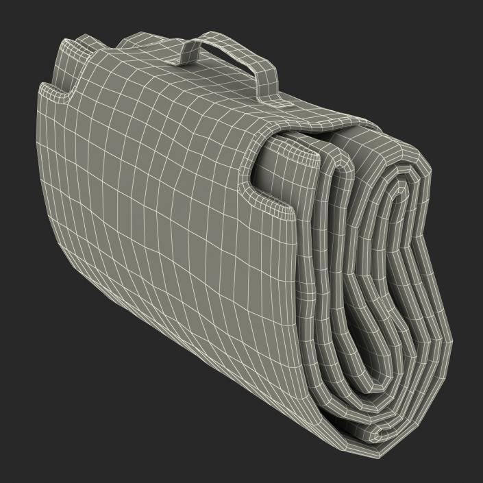 Picnic Blanket White 3D Models Set 3D model