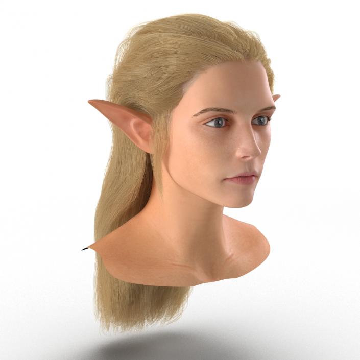 3D model Female Elf Head with Hair