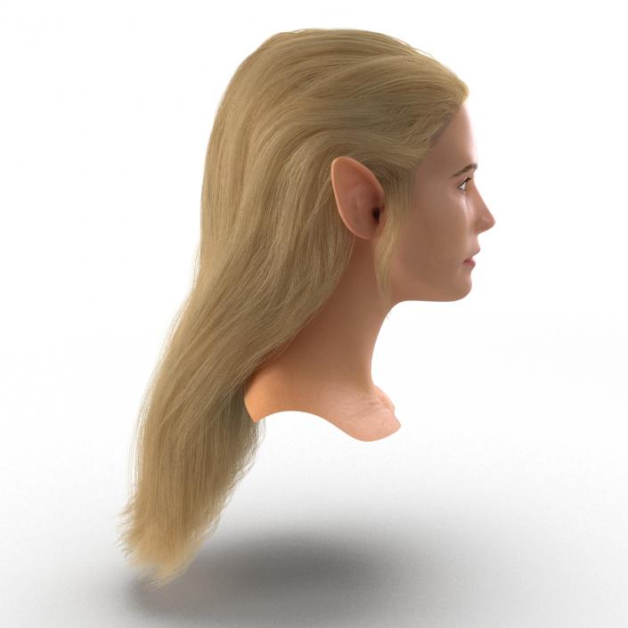 3D model Female Elf Head with Hair