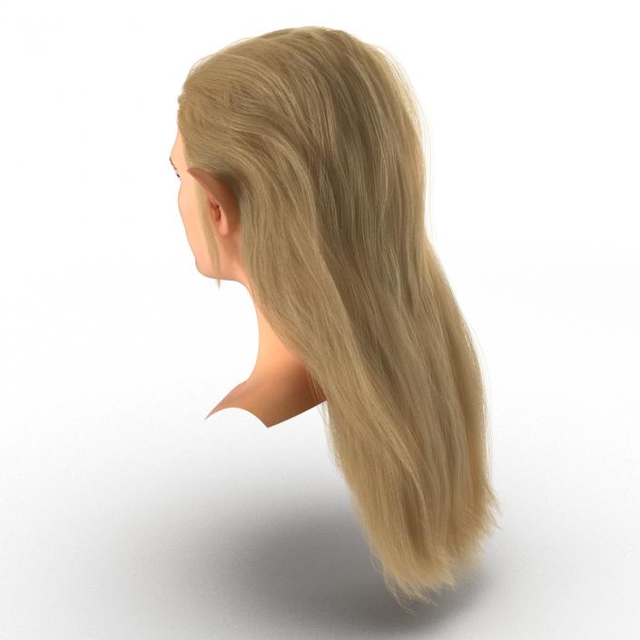 3D model Female Elf Head with Hair