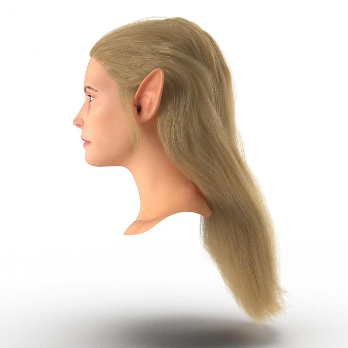 3D model Female Elf Head with Hair