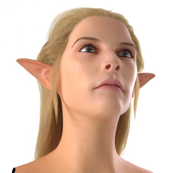 3D model Female Elf Head with Hair