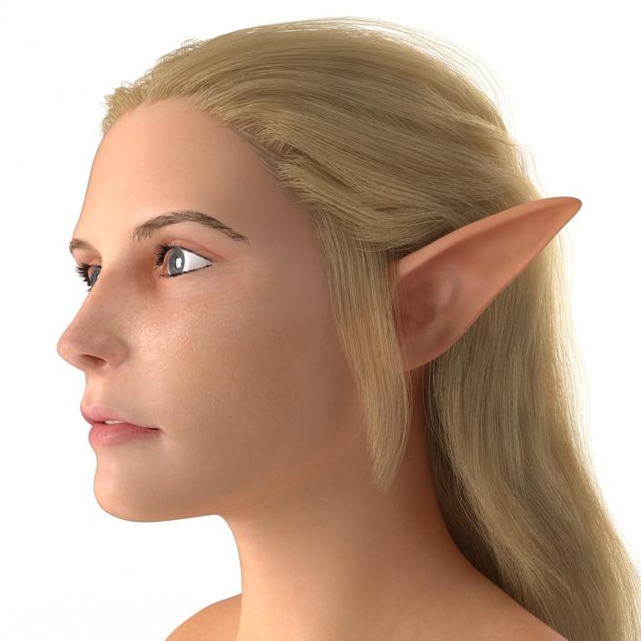 3D model Female Elf Head with Hair