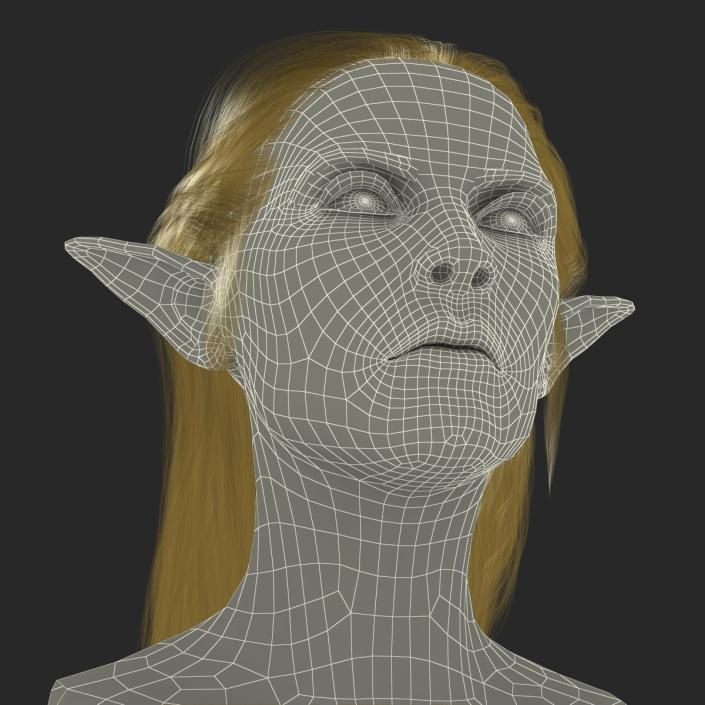 3D model Female Elf Head with Hair