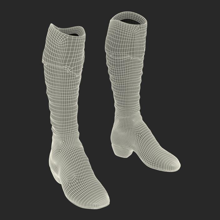 3D model Knee High Boots